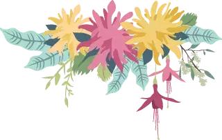 一个羞涩的句子,一个害羞的男生谈恋爱