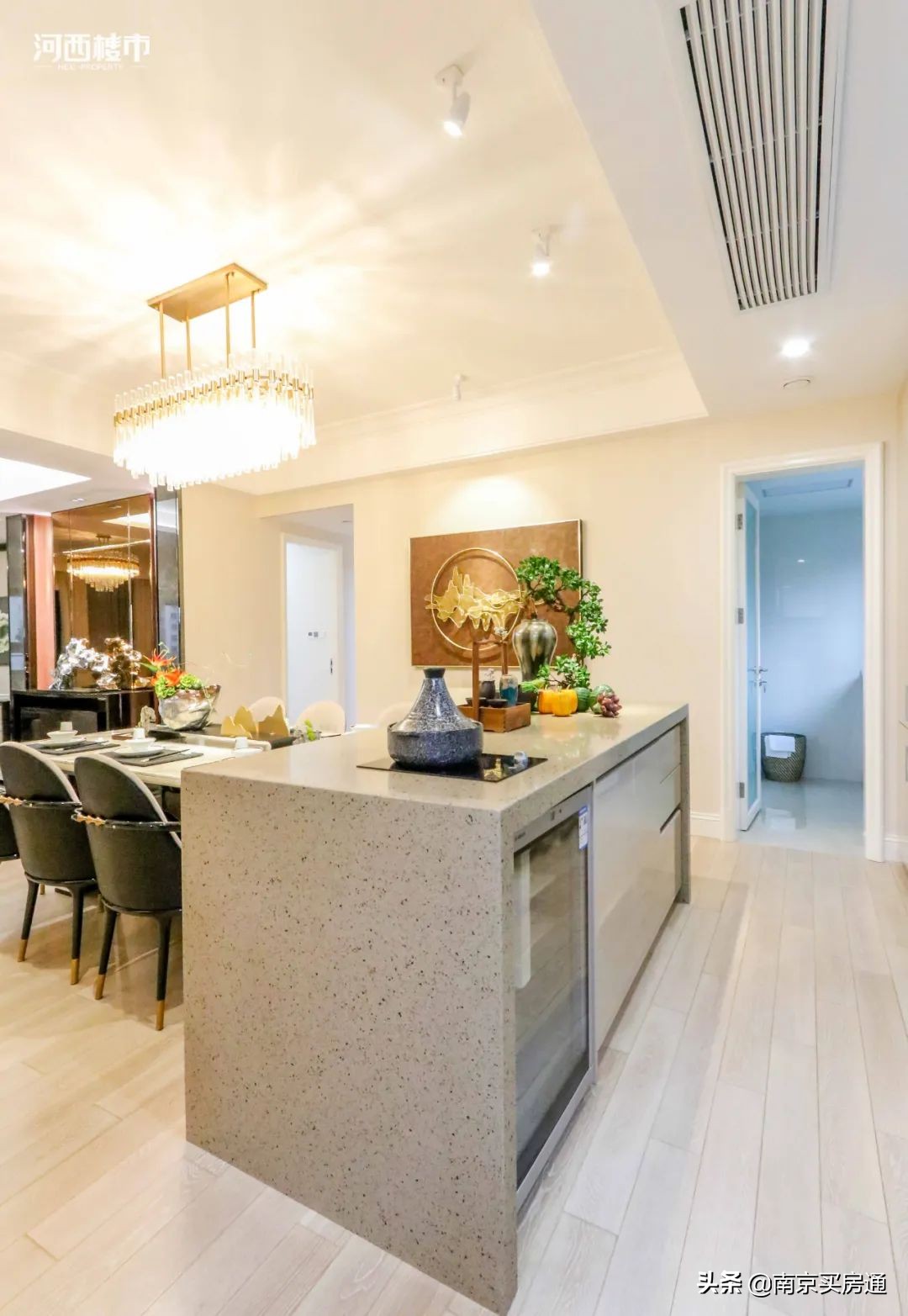 河西中新豪宅全景图,河西中心豪宅内部图片