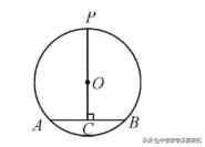 线段的最值问题中考压轴题,中考数学线段最值解题方法技巧