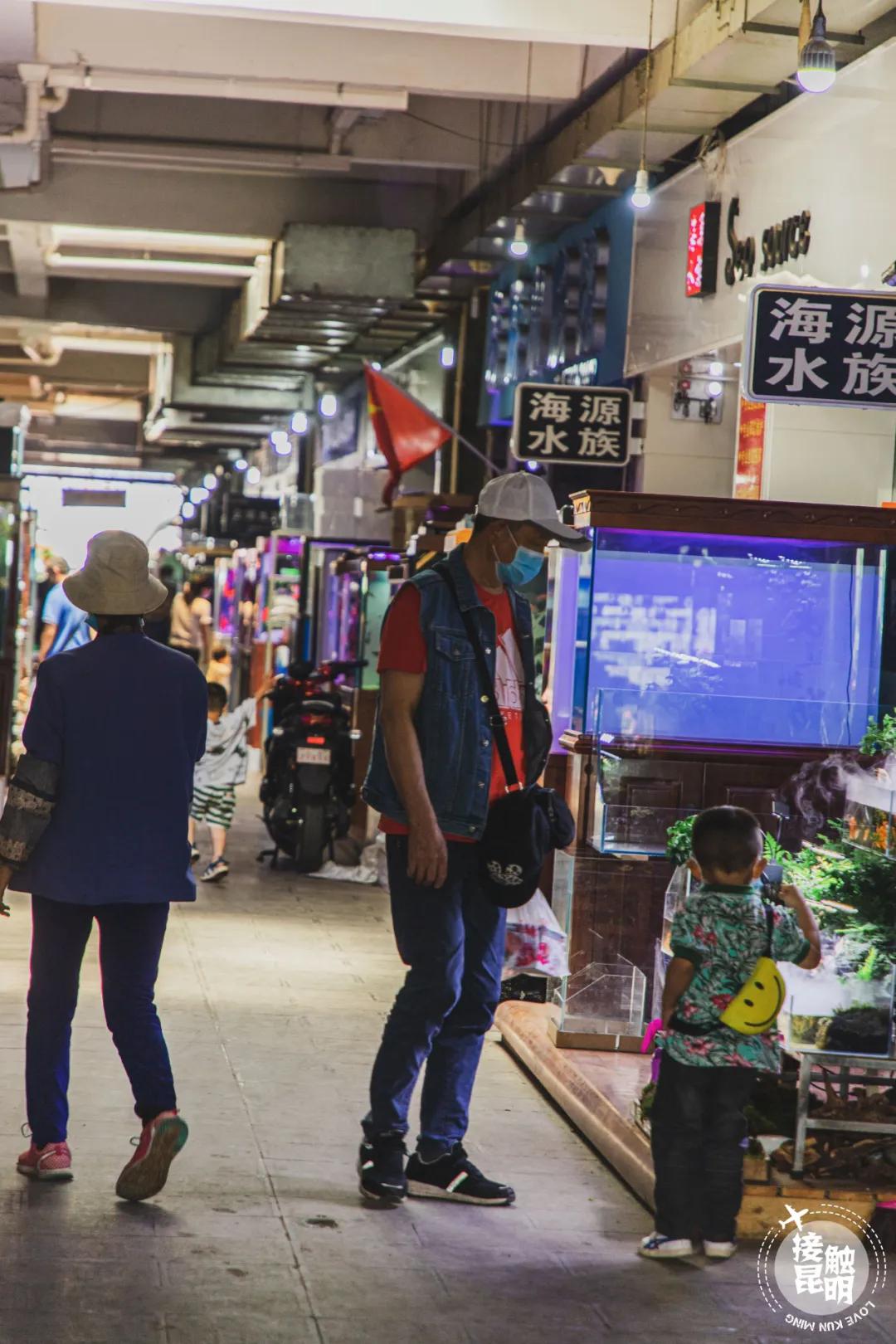 逛逛园博花鸟市场,园博花鸟市场攻略