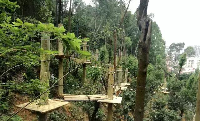 可拉熊团购,深圳可拉熊丛林探险营地团购门票