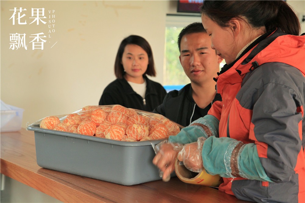 卖文化,卖创意,这家以柑橘为主题的农场好不正经