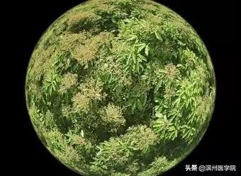 岁月可以翻过，滨医如何折叠？