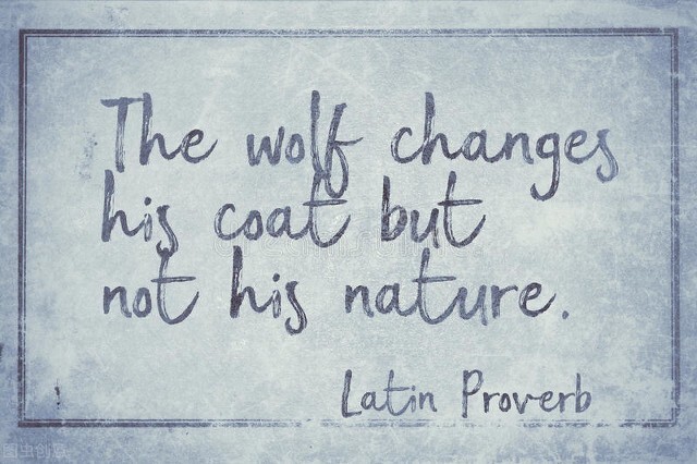 狼王梦学到的道理,狼王梦告诉我们了一个什么道理