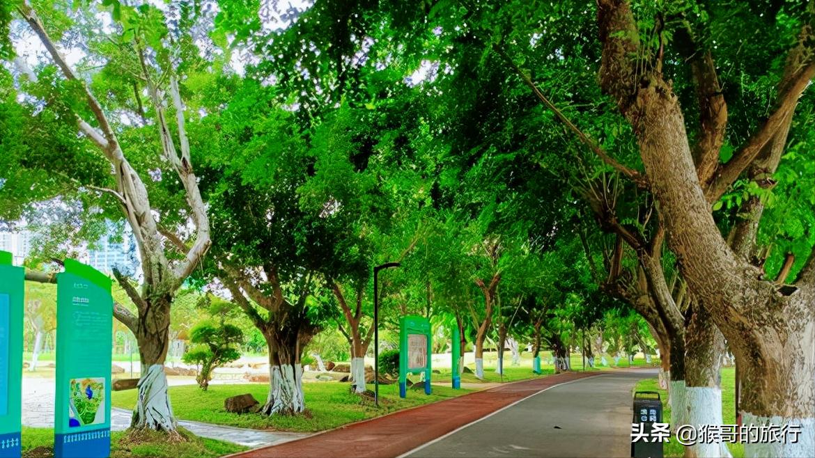 滨海森林公园,被遗忘的滨海新区