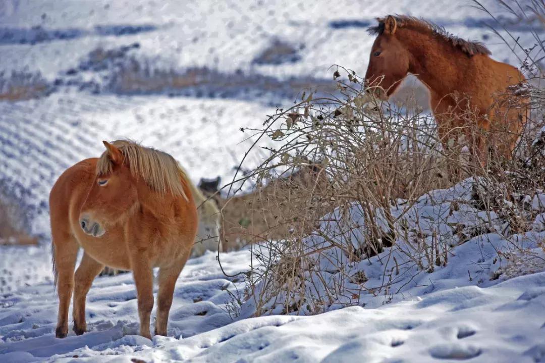 cnn评出中国40个最美的地方,cnn曾评出中国最美40个景点