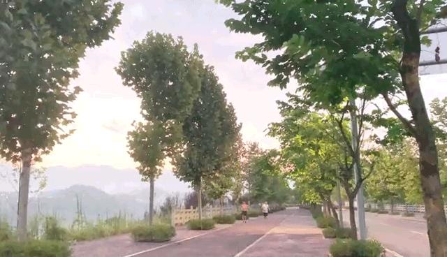 重庆初夏花海尽在这些免费公园,重庆最近的网红地花海