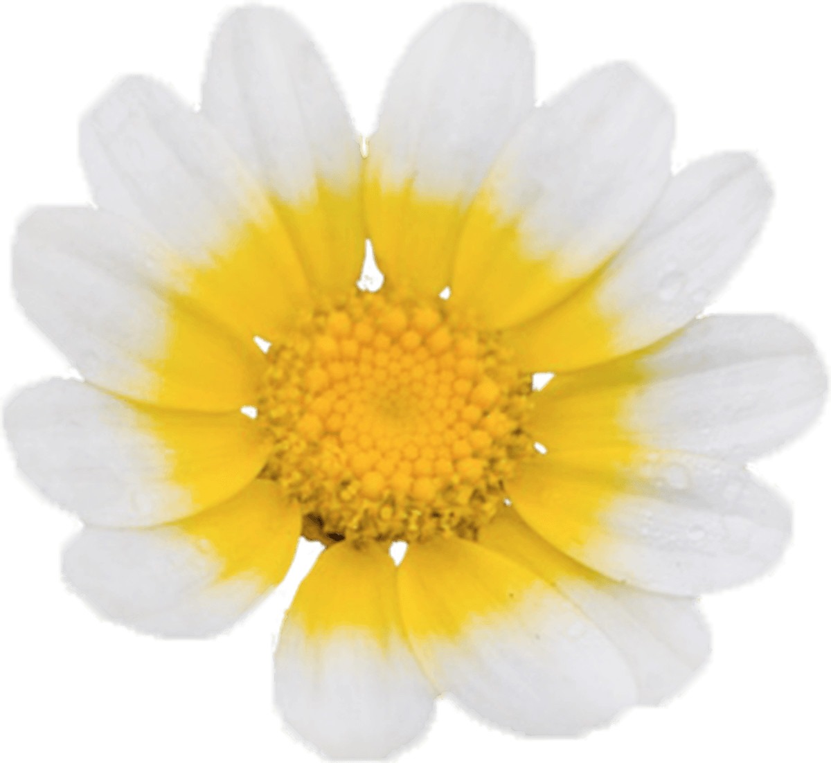 鎺ㄨ崘鏃犺亰浣嗘湁鐢ㄧ殑app,鎵撳彂鏃堕棿鍙堜笉鏃犺亰鐨刟pp