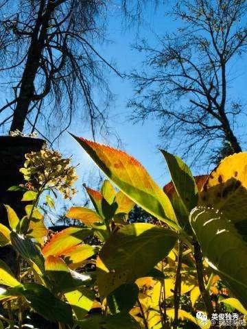 用情致疾，如梦山河，都“写给黄淮”