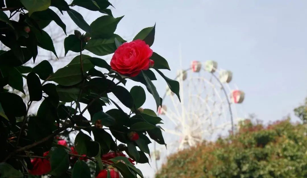 彭山景区活动购票,常德彭山景区游玩攻略图