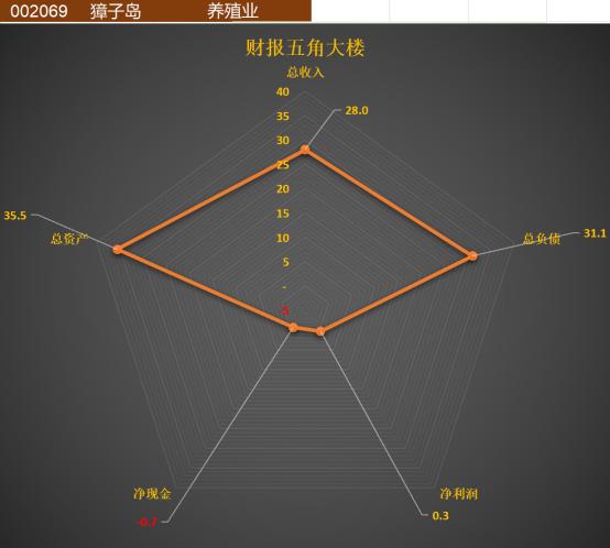 涓按娓斾笟璐㈠姟鎶ヨ〃,姘翠骇琛屼笟璐㈠姟鎶ヨ〃