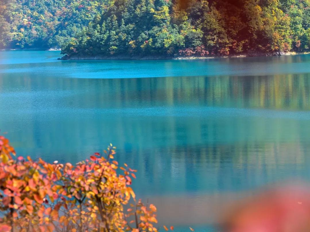 甘肃陇南属于西北吗,陇南是不是甘肃的好地方