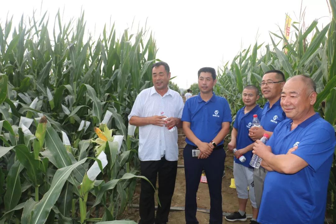 宝景农业,转变思路种地挣钱