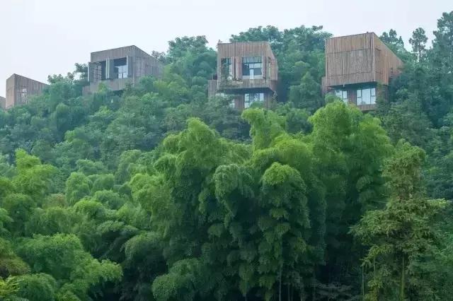 国内野奢酒店民宿排名榜,国内30家顶级野奢酒店