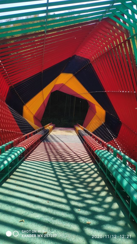 宜兴竹海十一月金色素材图片