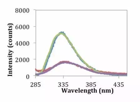 荧光蛋白表达受什么影响,荧光蛋白是什么