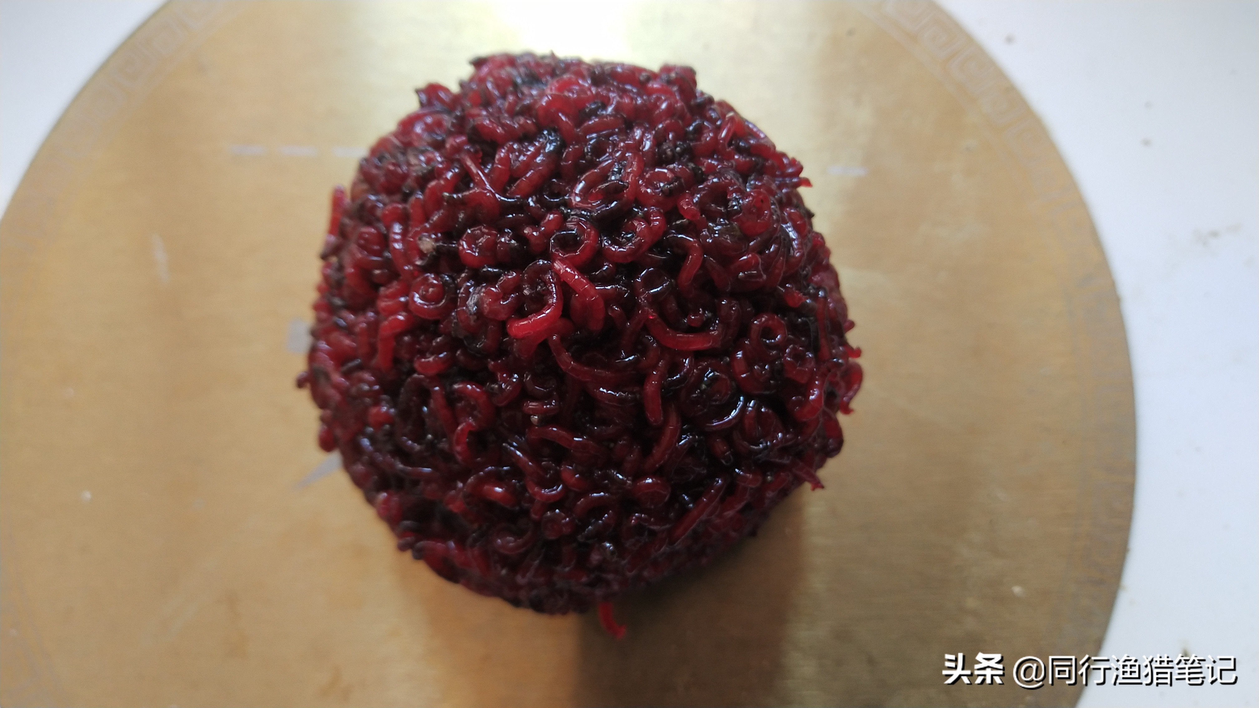 钓鲤鱼的技巧和食物,要想钓好鱼先得会做饭