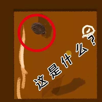 特殊时期的火锅,特殊时期可以吃什么外卖