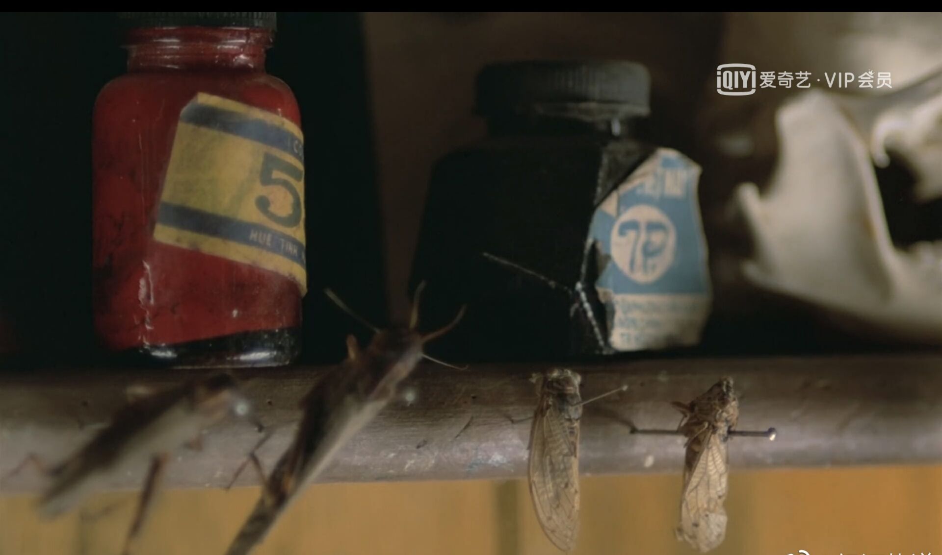 青木瓜之味女主,青木瓜之味女主角结局