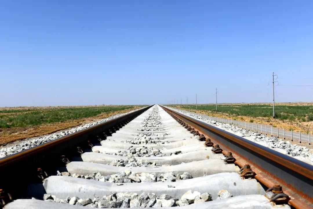 倔强的骆驼舞蹈视频,倔强的骆驼歌曲