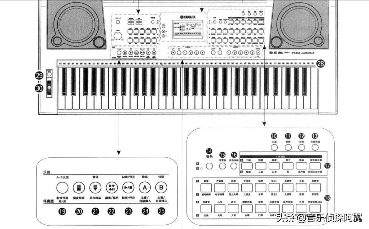 中老年电子琴零基础入门免费教程,49键电子琴教学入门零基础指法