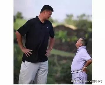 琴键上的运动学·琶音动作学习的规律及方法