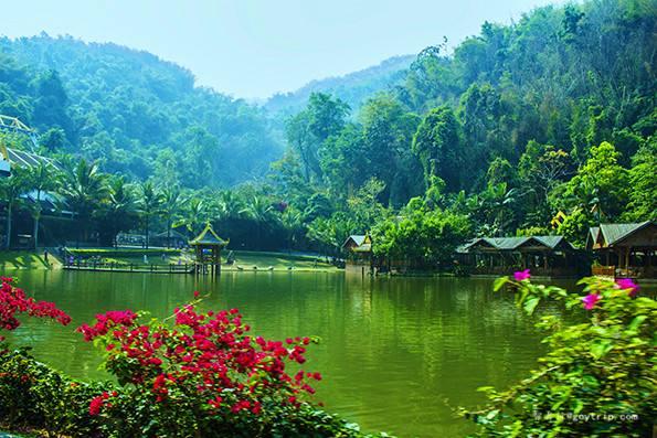 有哪些原始森林公园可以去玩,世界森林公园美景视频