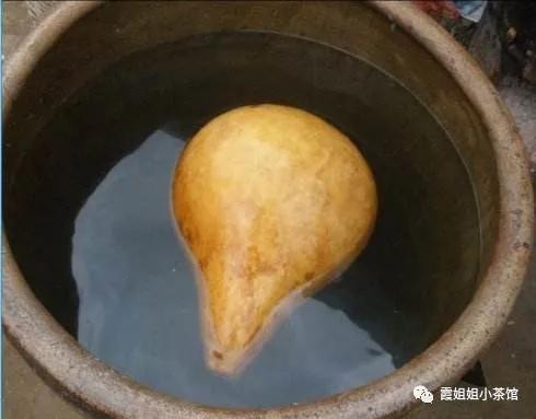 葫芦里的小女孩视频,葫芦里的小女孩是谁