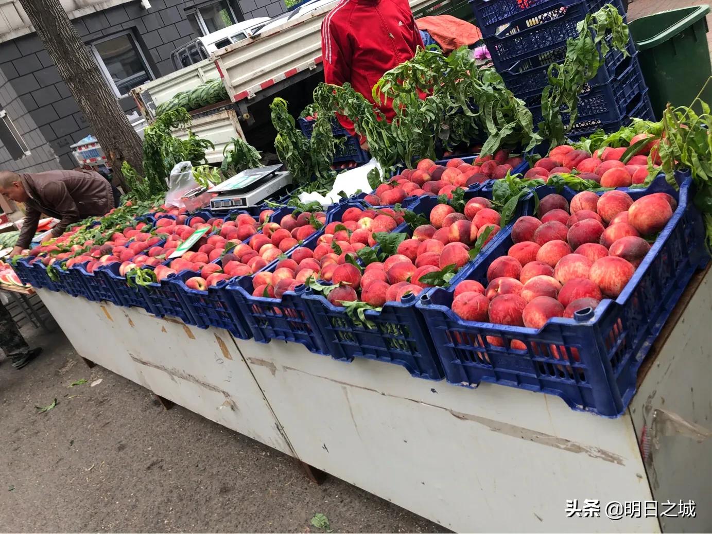 果婆婆为啥变果叔了,长春果婆婆