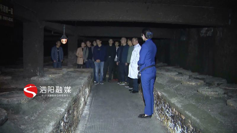 榄呭姏娲嬫渤閰掍埂,榄呭姏閰掍埂娲嬫渤