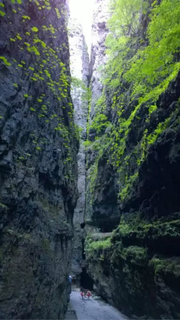 天下第一峡百里峡风景区,神奇百里峡天下第一峡