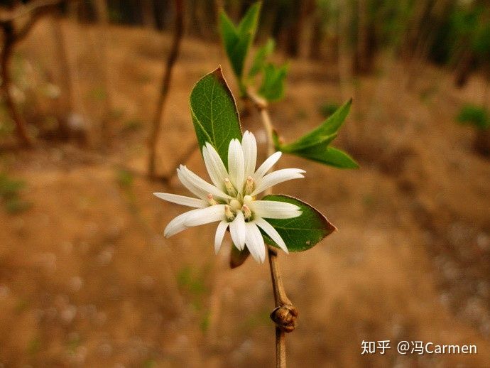 冷知识科普员,冷知识大科普你知道几条