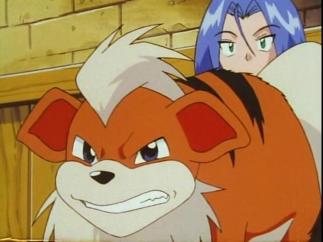 精灵宝可梦18种属性图标,精灵宝可梦18个属性的招数