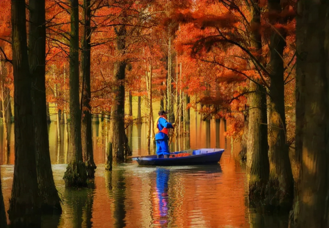 1011月错过它们，等于错过整个秋天！人少清净，随手一拍都是大片