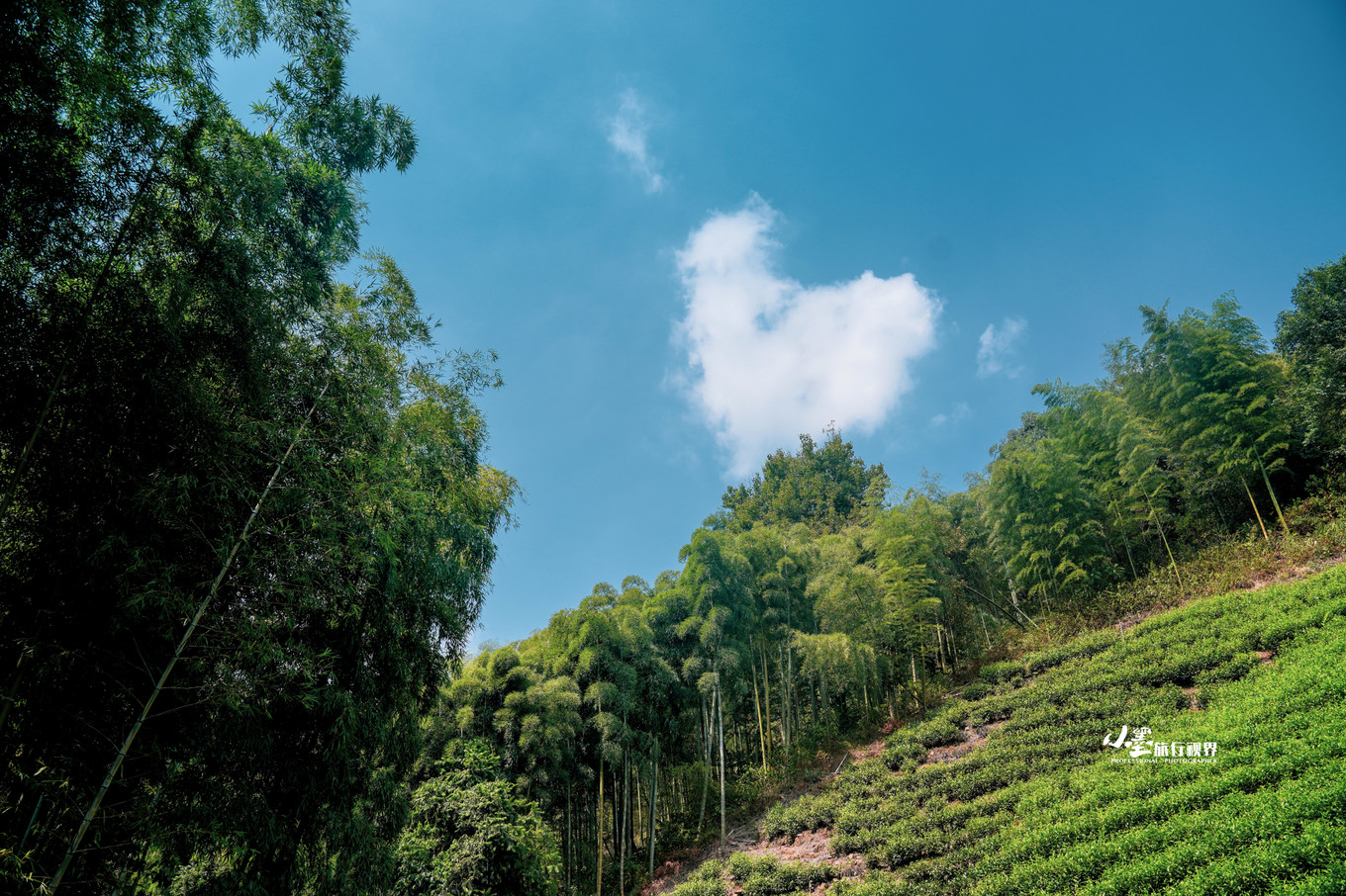 最接地气的大自然度假村,安吉旅游度假村推荐
