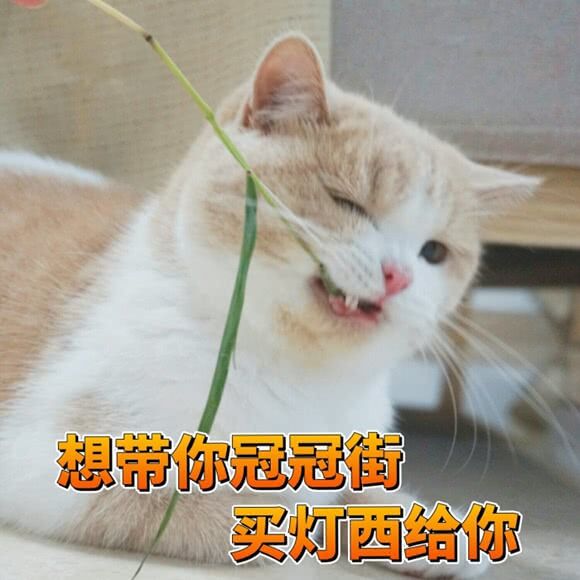 知否知否·小小樱桃人人爱,樱桃病害知多少?