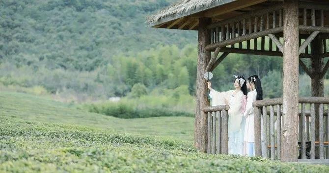 欢呼！余杭9条精品旅游线出炉！瓶窑、塘栖、中泰...太惊艳了！