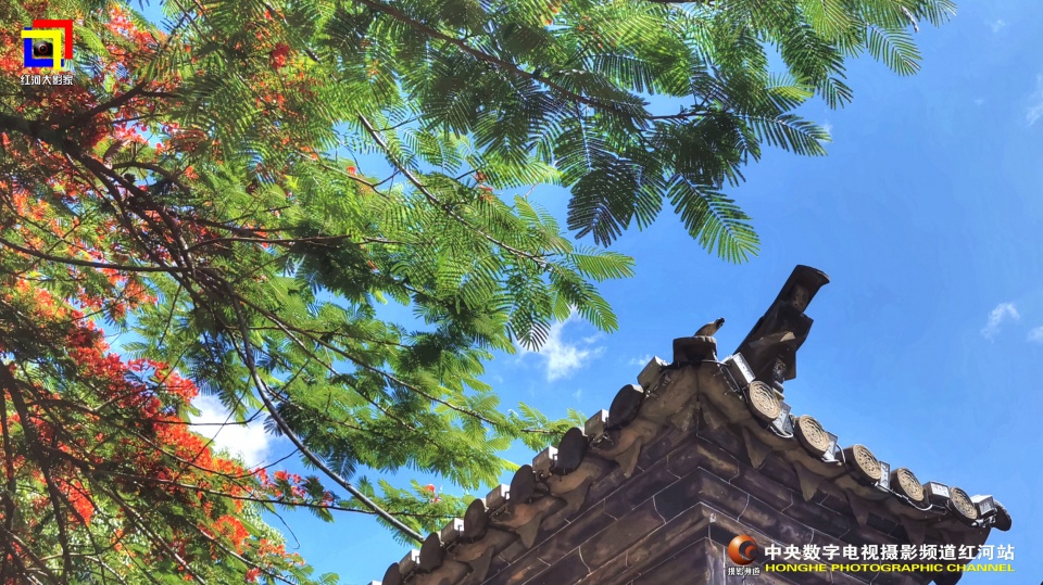 摄影助力民族医药企业的发展云河药业63周年盛典纪实•红河站