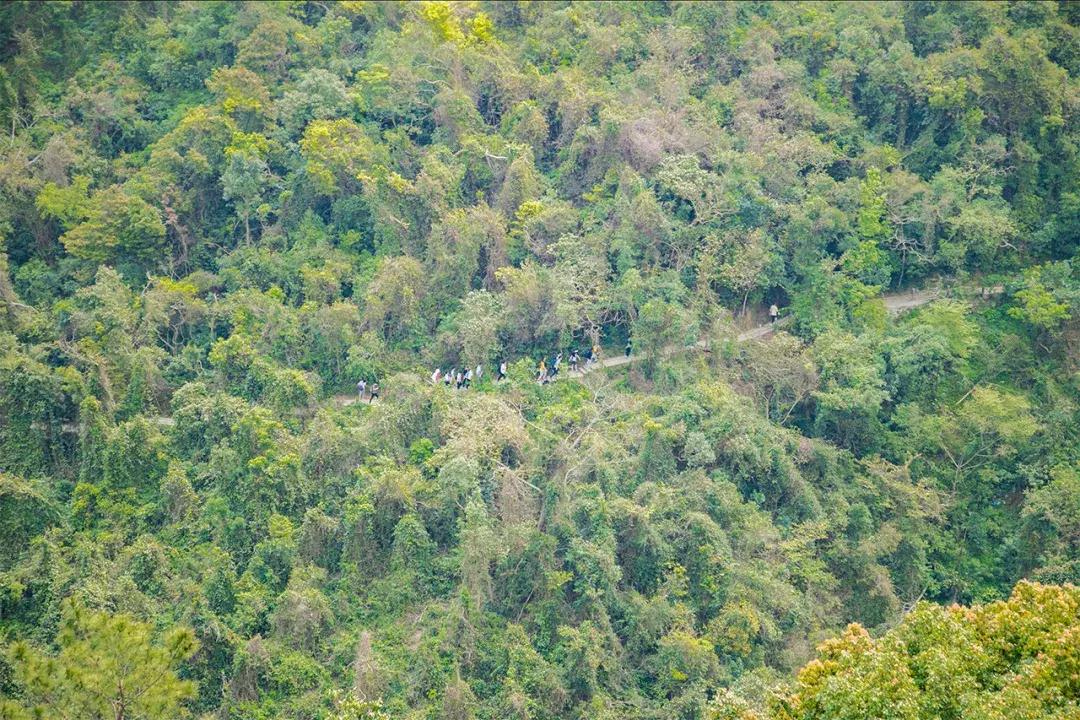 深圳十大一日游景点,深圳十大免费公园景点大全