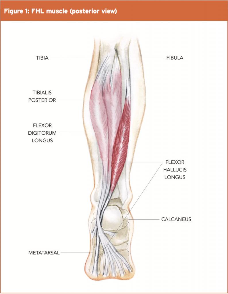 伸直后腿筋疼是怎么回事,前脚踝撞击综合征怎么治疗