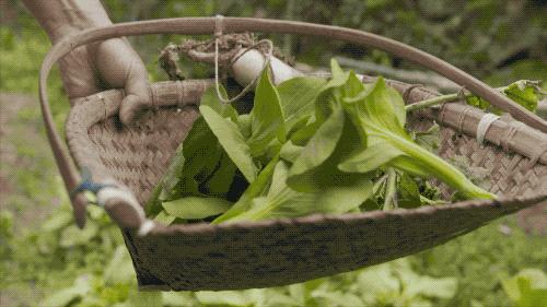 疫情解封后报复性消费的行业,疫情之后会出现消费狂潮么