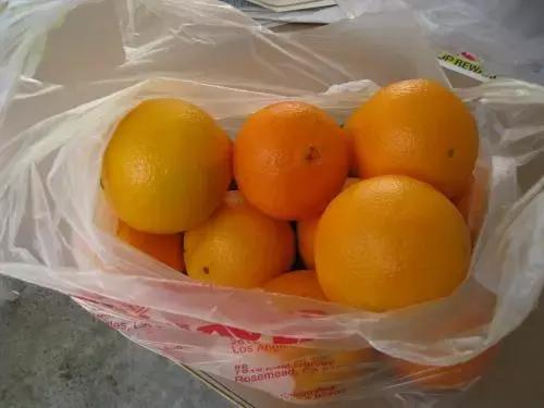 父母看儿子带了100个包子！留学生笑而不语：你是没见过我爸妈……