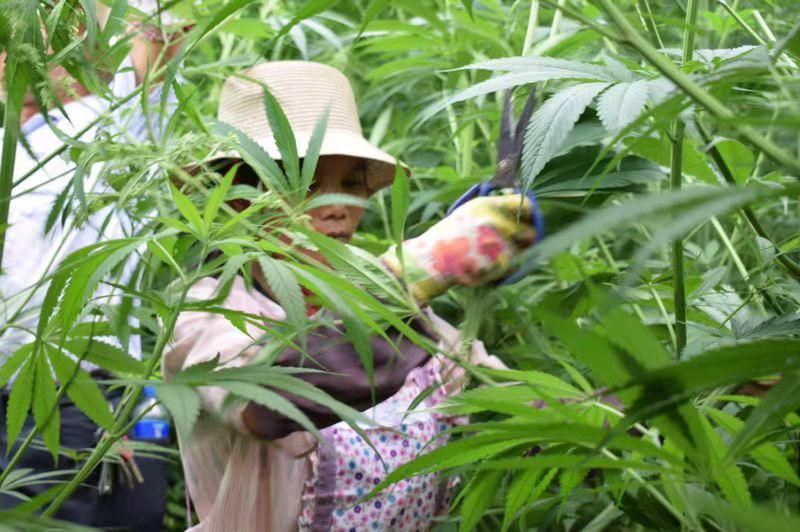 工业*麻大**收割季，KPC筹备2500万全球招募测评师，风口向谁敞开？