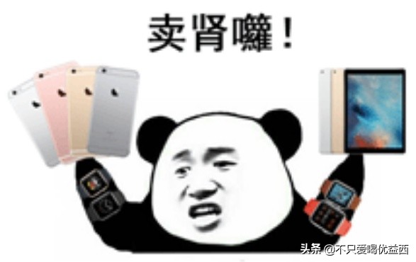 iphone哪款手机值得买,历代iphone值得买