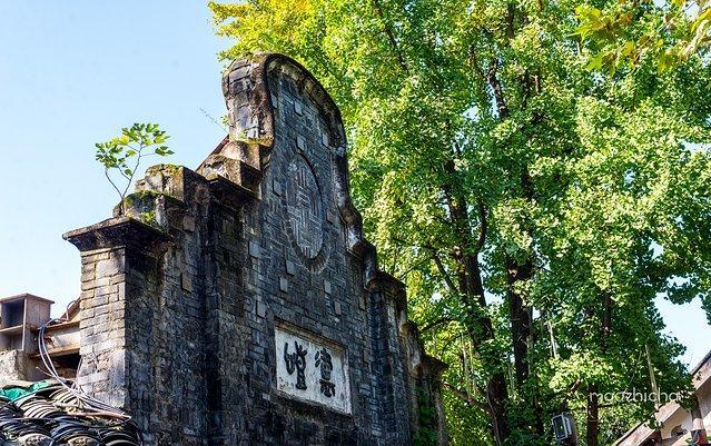 成都网红旅行攻略,四川成都新津最新网红打卡景点