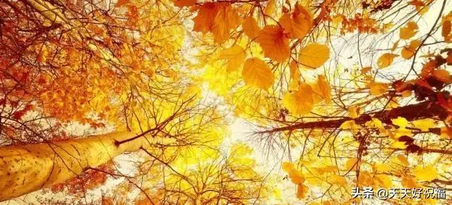 绝！绝！绝！这条微信谁编的？太有才了