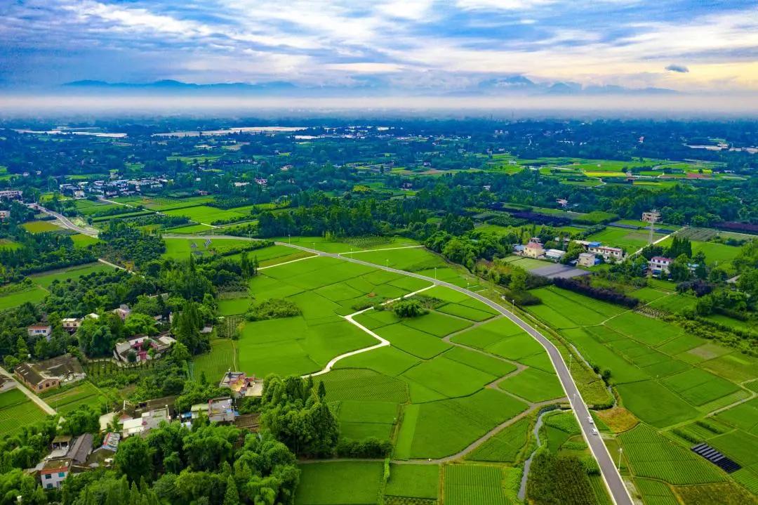 你好，我叫郫都，这是我的最新简历