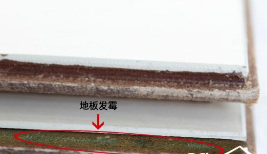 地板发霉的原因及处理方法,地板发霉的原因和处理方法