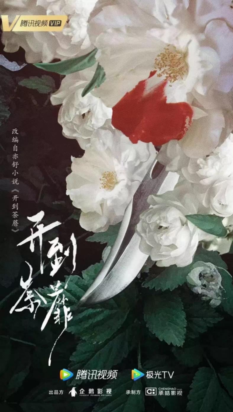 腾讯视频2022年纪录片单,腾讯视频2021纪录片