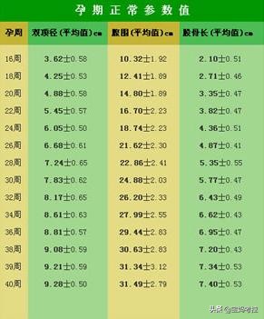 孕期每月注意事项表,孕期变化和注意事项